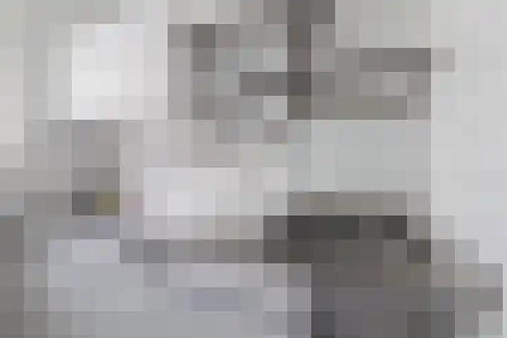 Professor Kamerlingh Onneslaan 129 A Schiedam thumbnail 8