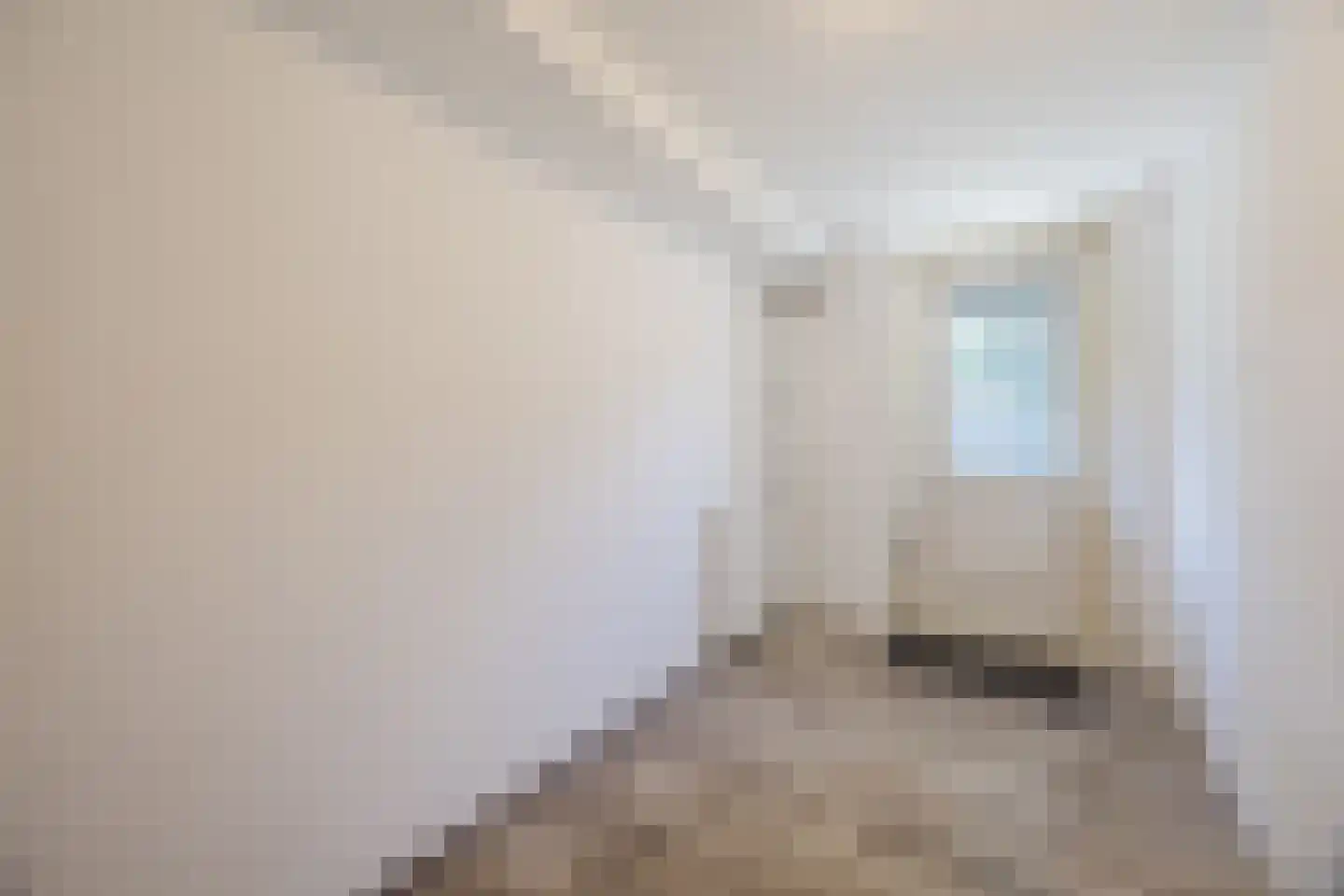 Professor Kamerlingh Onneslaan 129 B 1 Schiedam thumbnail 20