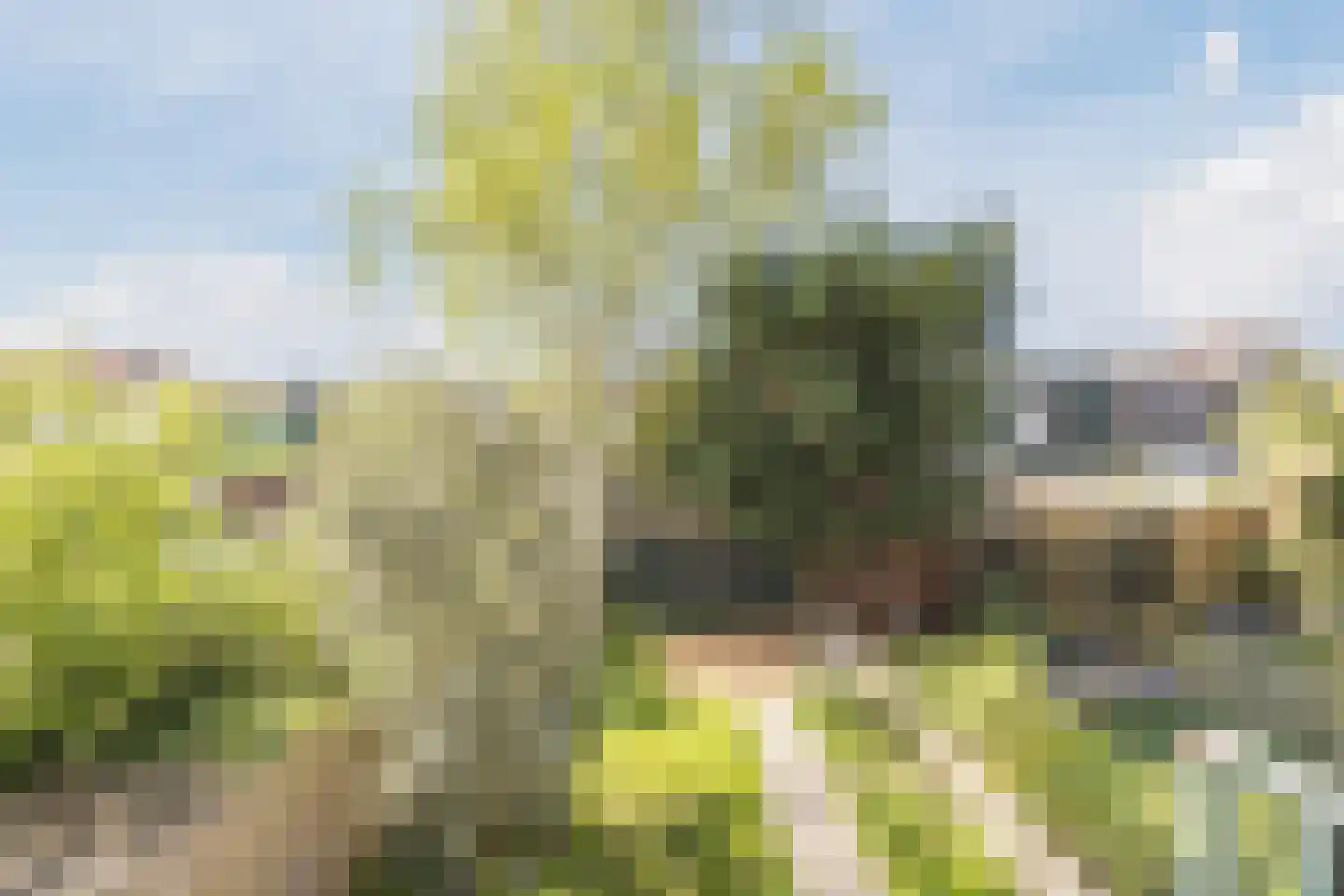 Professor Kamerlingh Onneslaan 129 B 1 Schiedam thumbnail 30