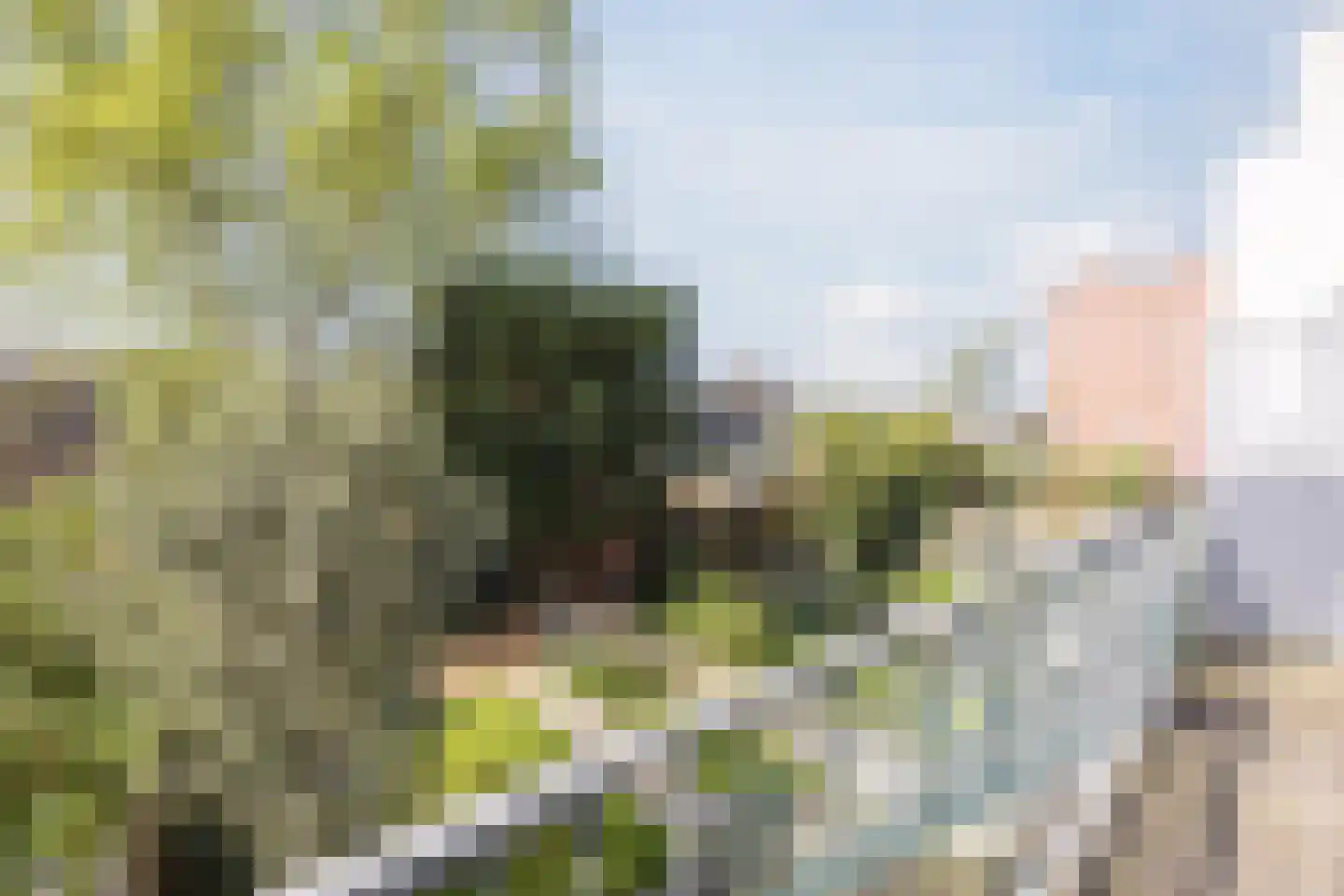 Professor Kamerlingh Onneslaan 129 B 1 Schiedam thumbnail 31