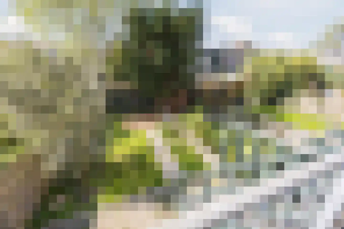 Professor Kamerlingh Onneslaan 129 B 1 Schiedam thumbnail 32