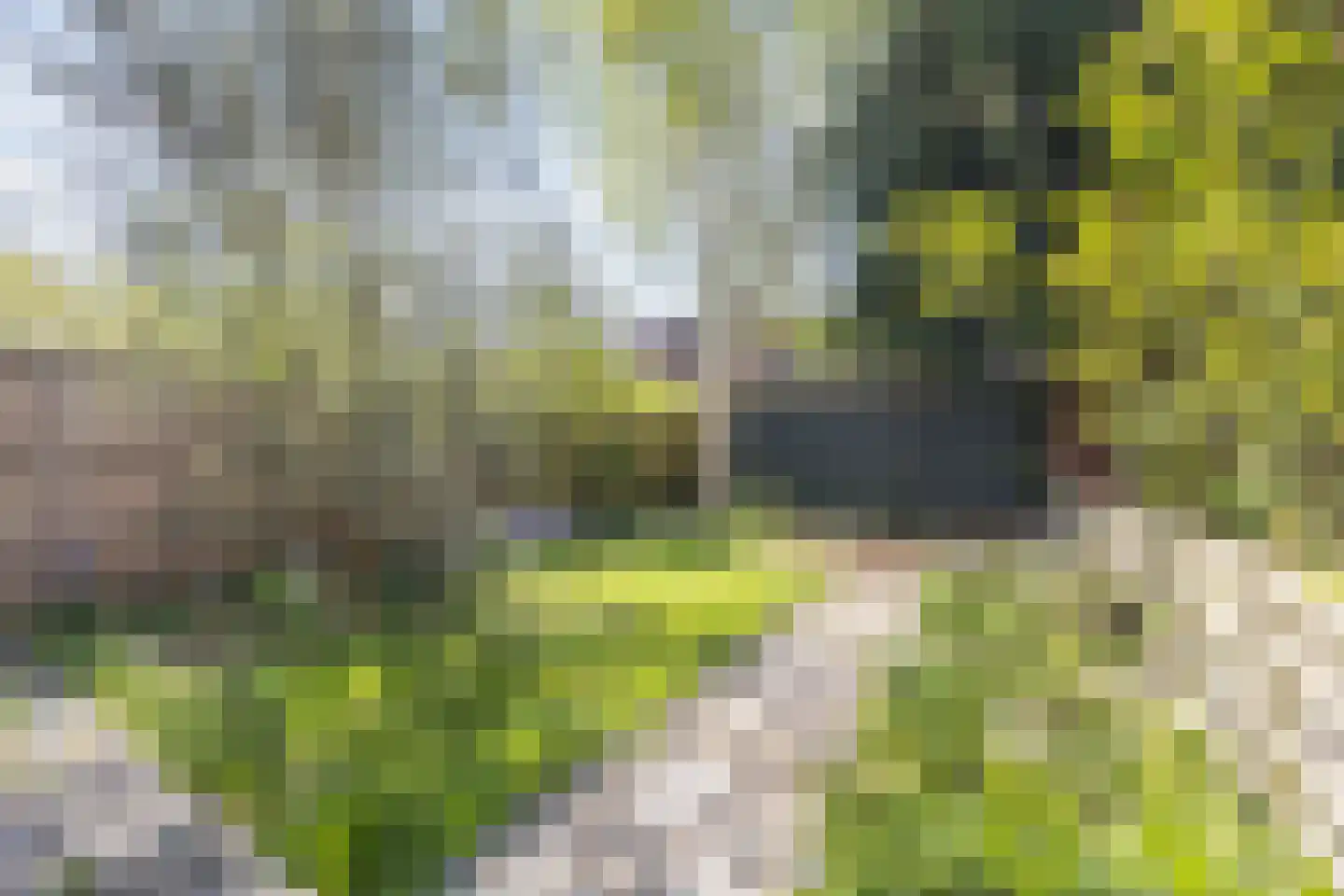 Professor Kamerlingh Onneslaan 129 B 1 Schiedam thumbnail 34