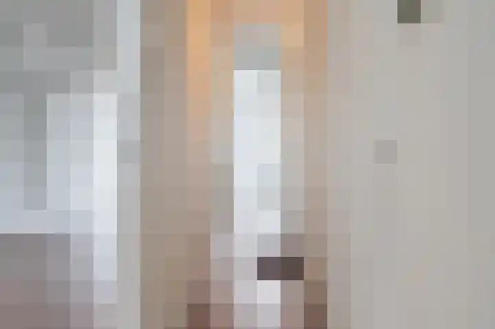 Professor Kamerlingh Onneslaan 131 B Schiedam thumbnail 13