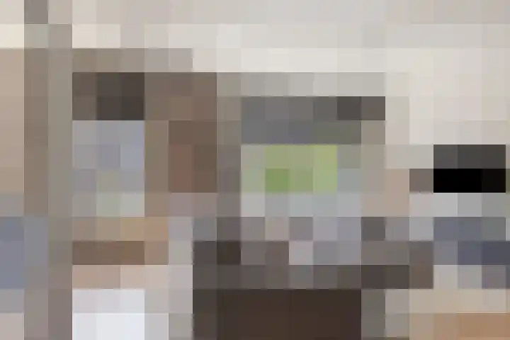 Professor Kamerlingh Onneslaan 132 B Schiedam thumbnail 13