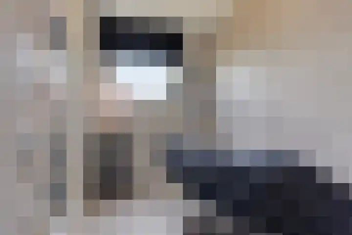 Professor Kamerlingh Onneslaan 132 B Schiedam thumbnail 16