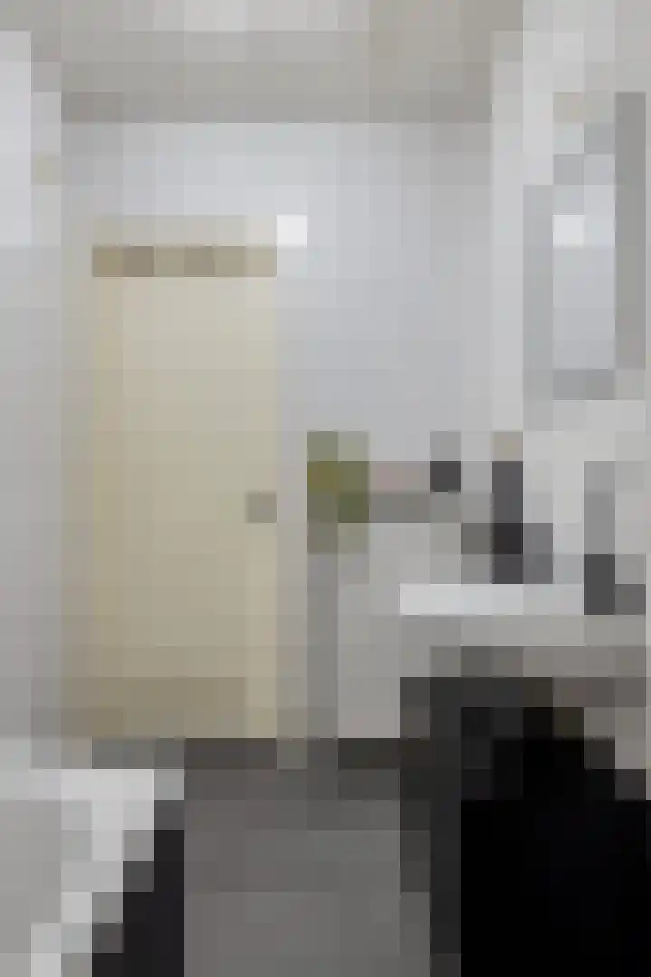 Professor Kamerlingh Onneslaan 132 B Schiedam thumbnail 18