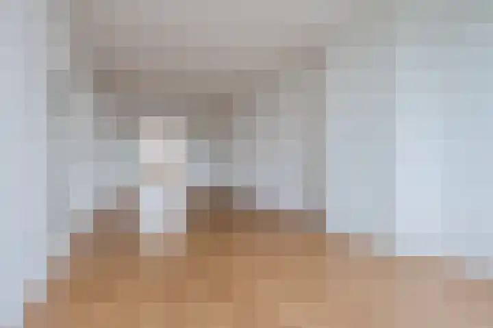 Professor Kamerlingh Onneslaan 133 A Schiedam thumbnail 8