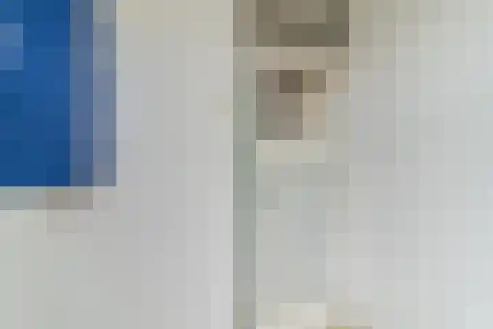 Professor Kamerlingh Onneslaan 135 B Schiedam thumbnail 12