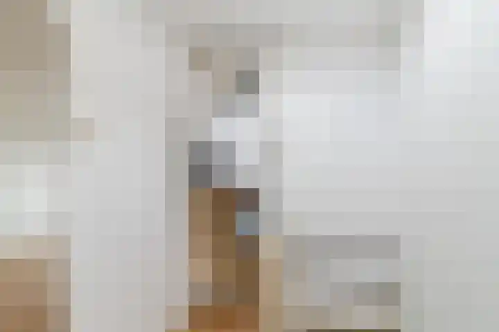 Professor Kamerlingh Onneslaan 135 B Schiedam thumbnail 20