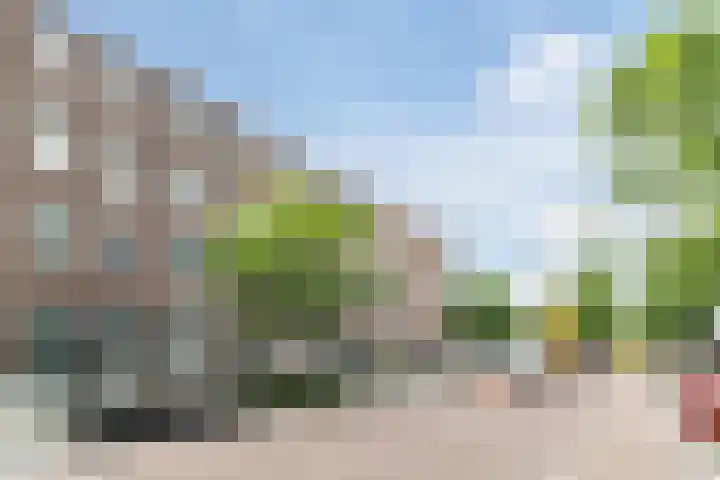 Professor Kamerlingh Onneslaan 135 B Schiedam thumbnail 23