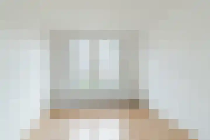 Professor Kamerlingh Onneslaan 135 B Schiedam thumbnail 5