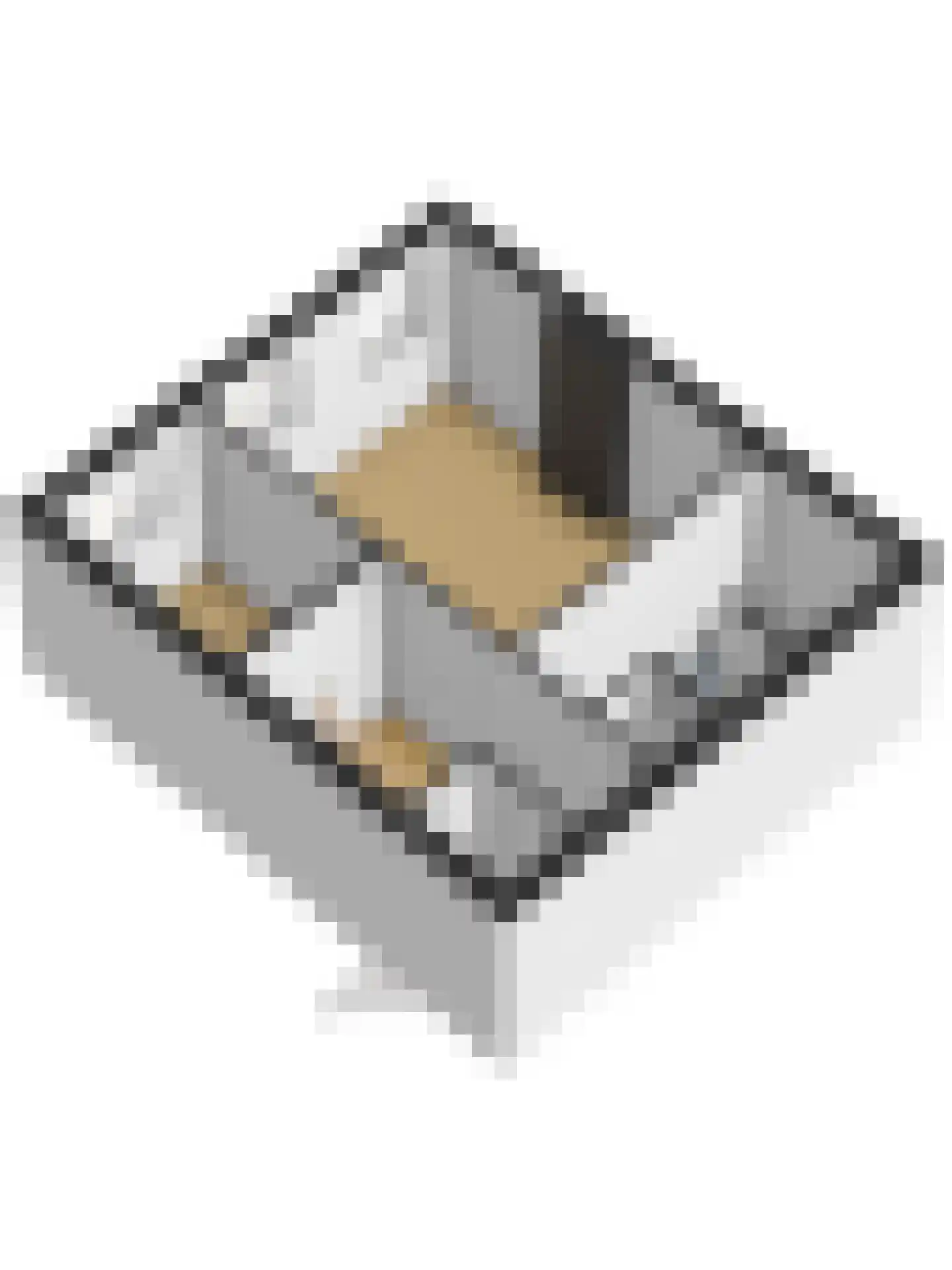 Professor Kamerlingh Onneslaan 143 B 2 Schiedam thumbnail 34