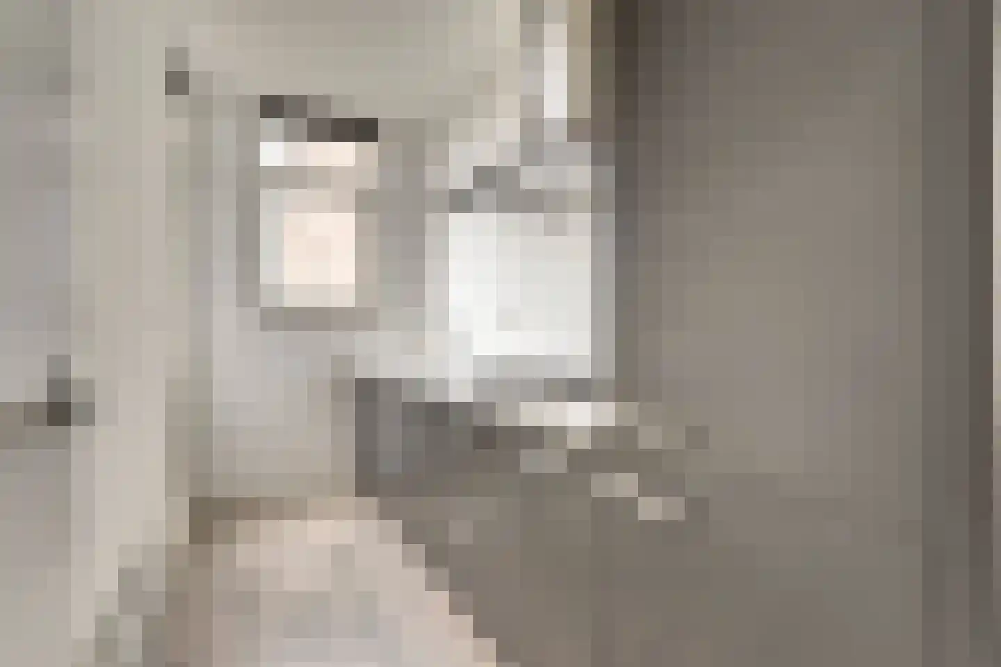 Professor Kamerlingh Onneslaan 143 B 2 Schiedam thumbnail 5