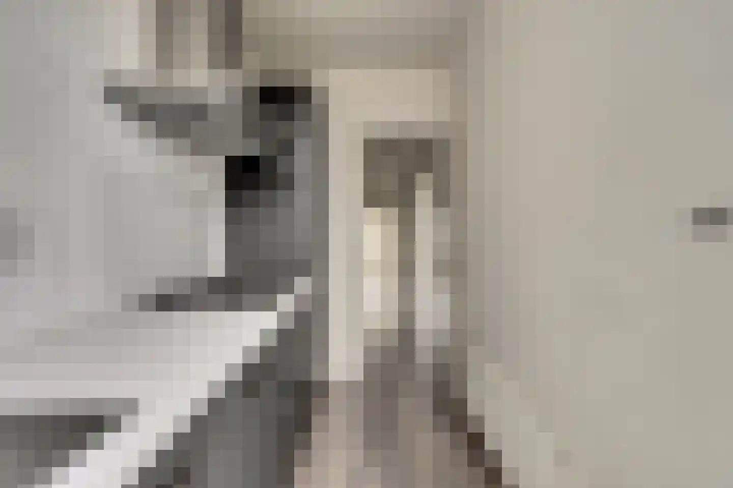 Professor Kamerlingh Onneslaan 143 B 2 Schiedam thumbnail 6