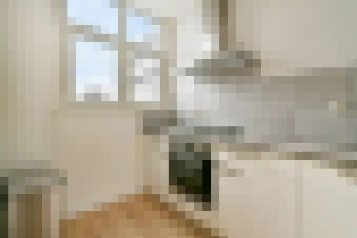 Professor Kamerlingh Onneslaan 171 B Schiedam thumbnail 13