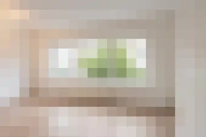 Professor Kamerlingh Onneslaan 90 A 1 Schiedam thumbnail 11