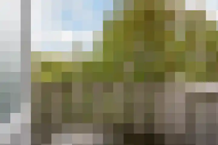 Professor Kamerlingh Onneslaan 90 A 1 Schiedam thumbnail 16