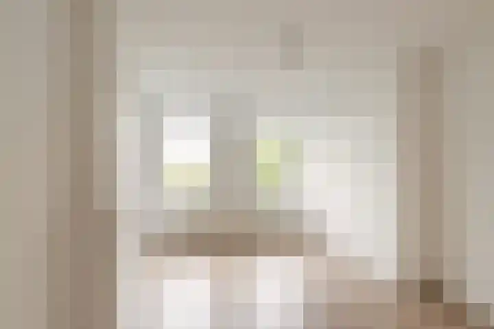 Professor Kamerlingh Onneslaan 90 A 1 Schiedam thumbnail 17