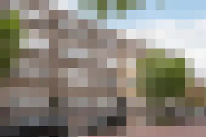 Professor Kamerlingh Onneslaan 90 A 1 Schiedam thumbnail 19