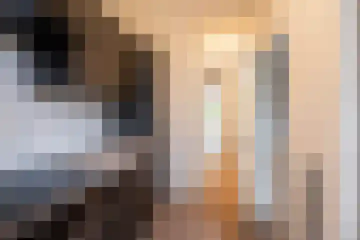Professor Kamerlingh Onneslaan 90 A 1 Schiedam thumbnail 4