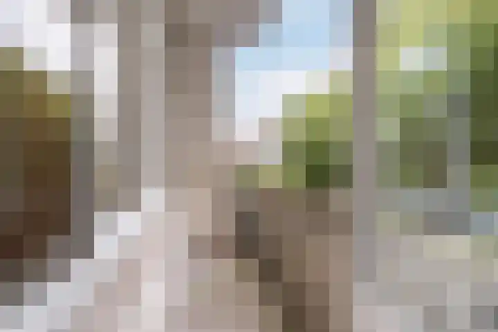 Professor Kamerlingh Onneslaan 90 A 1 Schiedam thumbnail 6