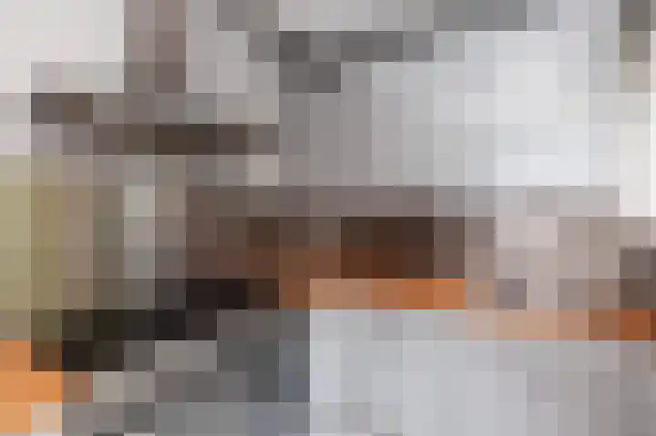 Professor Kamerlingh Onneslaan 92 B 2 Schiedam thumbnail 11