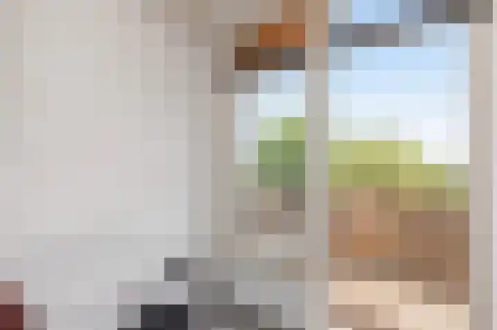 Professor Kamerlingh Onneslaan 92 B 2 Schiedam thumbnail 14