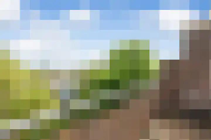 Professor Kamerlingh Onneslaan 92 B 2 Schiedam thumbnail 15