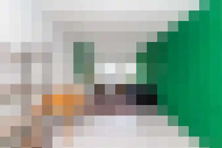 Professor Kamerlingh Onneslaan 92 B 2 Schiedam thumbnail 6