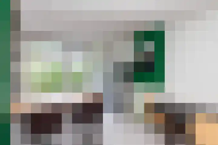 Professor Kamerlingh Onneslaan 92 B 2 Schiedam thumbnail 8