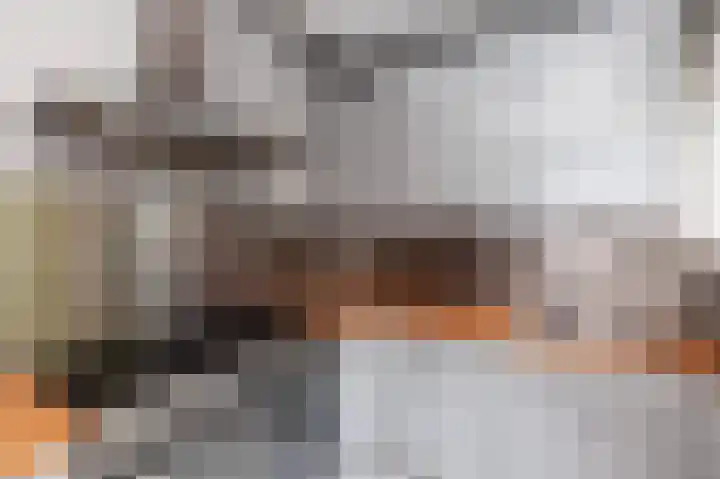 Professor Kamerlingh Onneslaan 92 B 2 Schiedam thumbnail 9