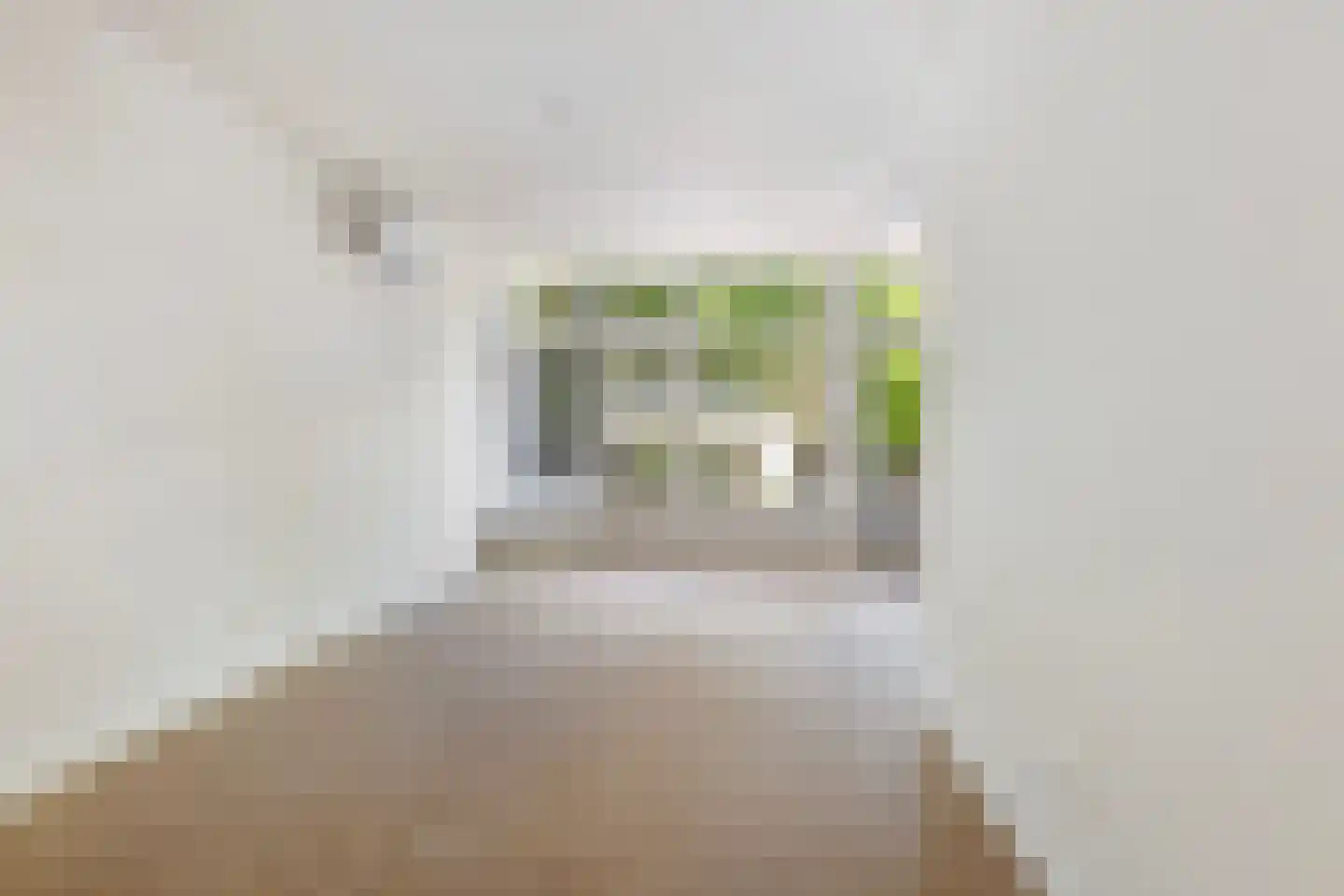 Professor Kamerlingh Onneslaan 98 B Schiedam thumbnail 6