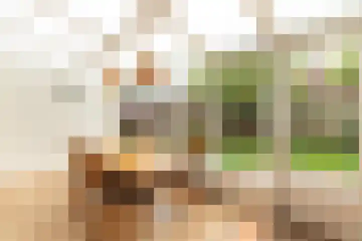 Professor Kochstraat 21 Hilversum thumbnail 13