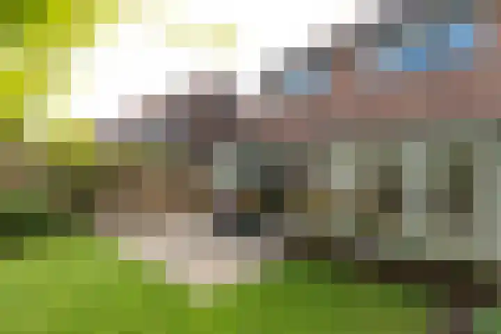 Professor Kochstraat 21 Hilversum thumbnail 33