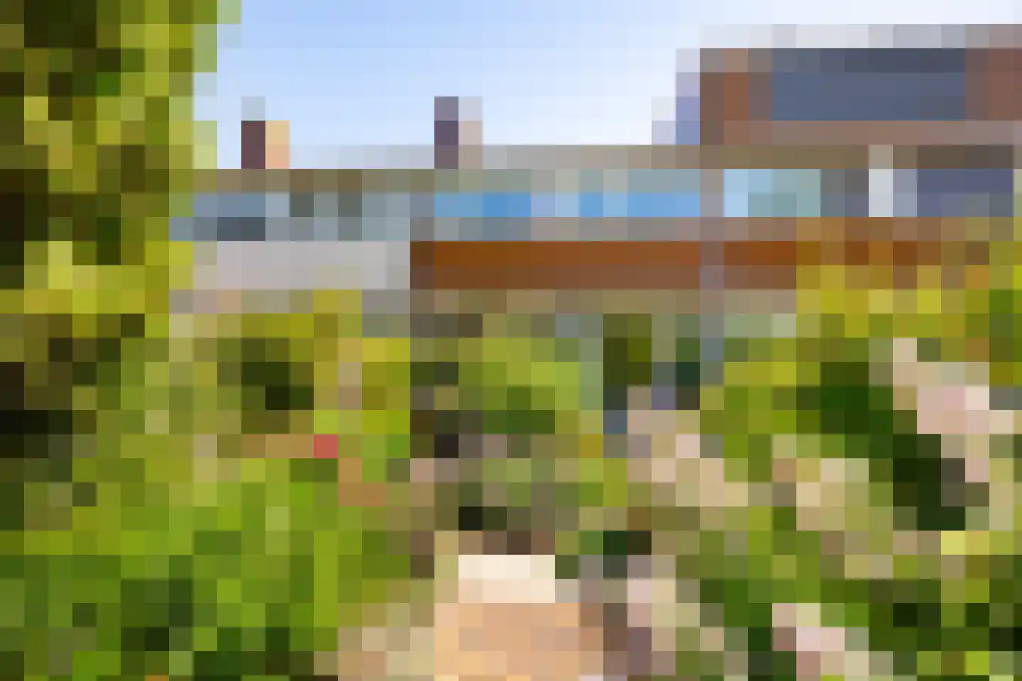 Professor Kouwerstraat 48 Haarlem thumbnail 22