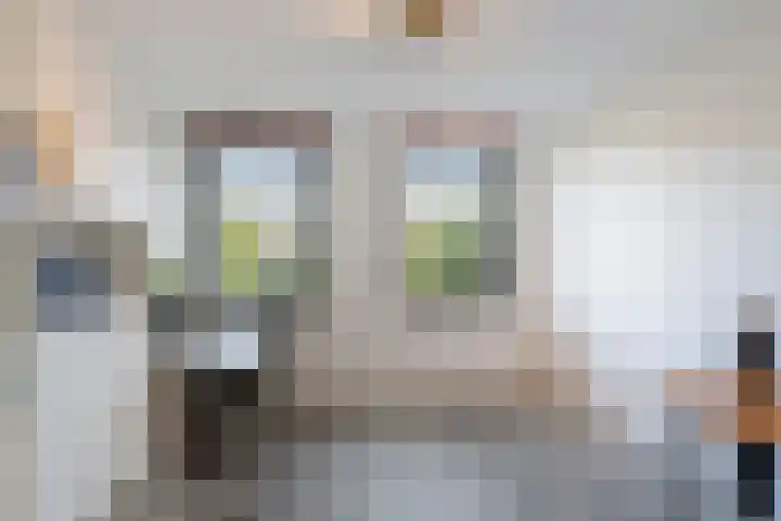Professor Mekelstraat 59 Vlaardingen thumbnail 34