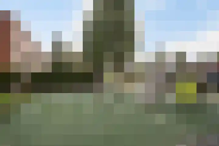Professor Mekelstraat 59 Vlaardingen thumbnail 42