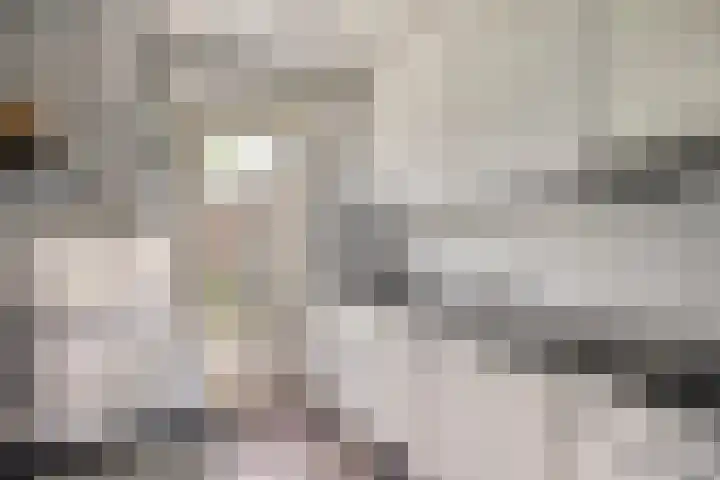 Professor Meyerslaan 37 Eindhoven thumbnail 10