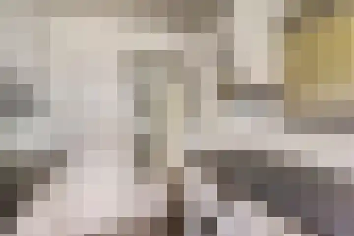 Professor Meyerslaan 37 Eindhoven thumbnail 11