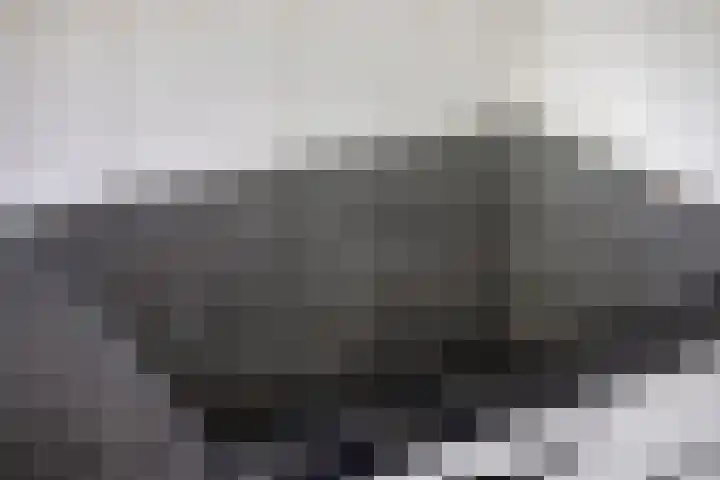 Professor Meyerslaan 37 Eindhoven thumbnail 12