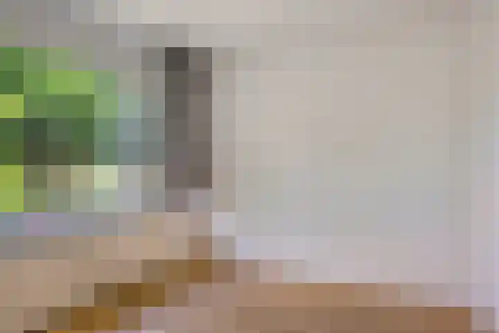 Professor Meyerslaan 37 Eindhoven thumbnail 18