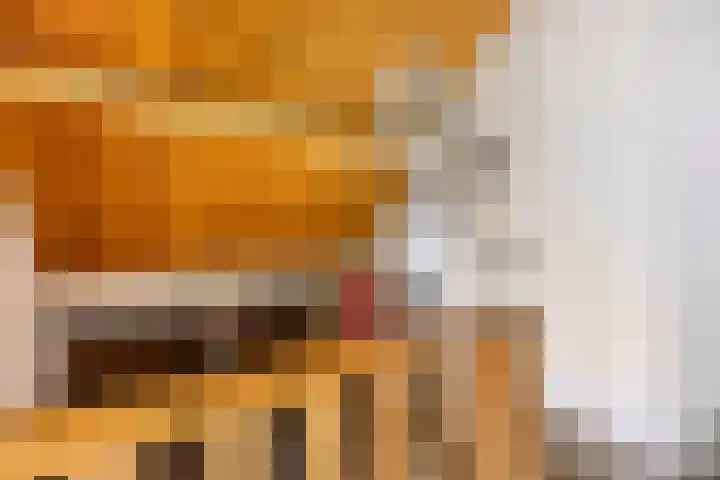 Professor Meyerslaan 37 Eindhoven thumbnail 19