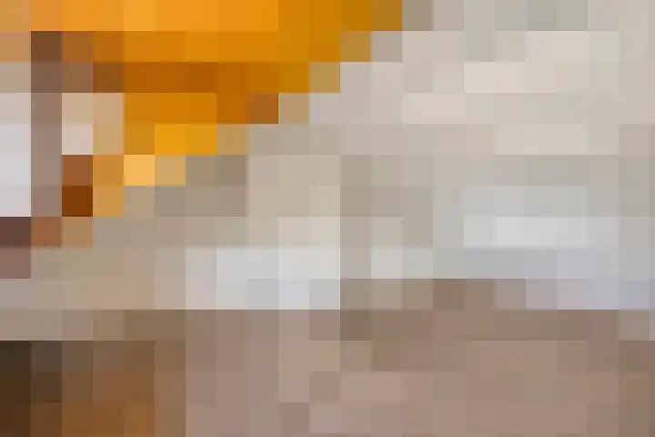 Professor Meyerslaan 37 Eindhoven thumbnail 20