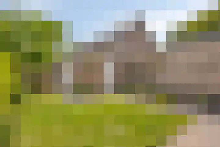 Professor Meyerslaan 37 Eindhoven thumbnail 23