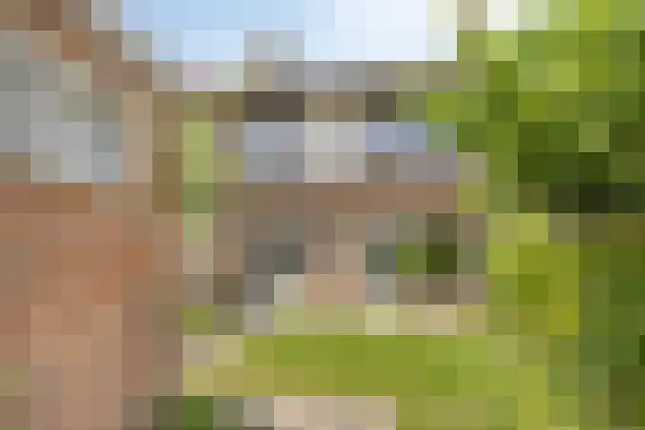 Professor Meyerslaan 37 Eindhoven thumbnail 24