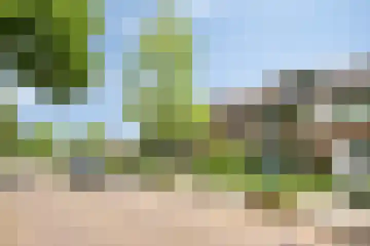 Professor Meyerslaan 37 Eindhoven thumbnail 30