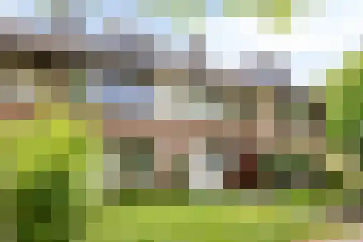 Professor Meyerslaan 37 Eindhoven thumbnail 4