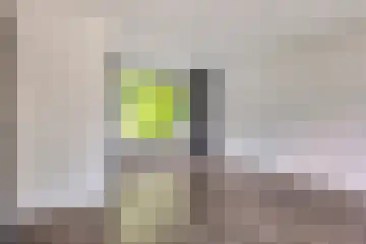 Professor Meyerslaan 37 Eindhoven thumbnail 9
