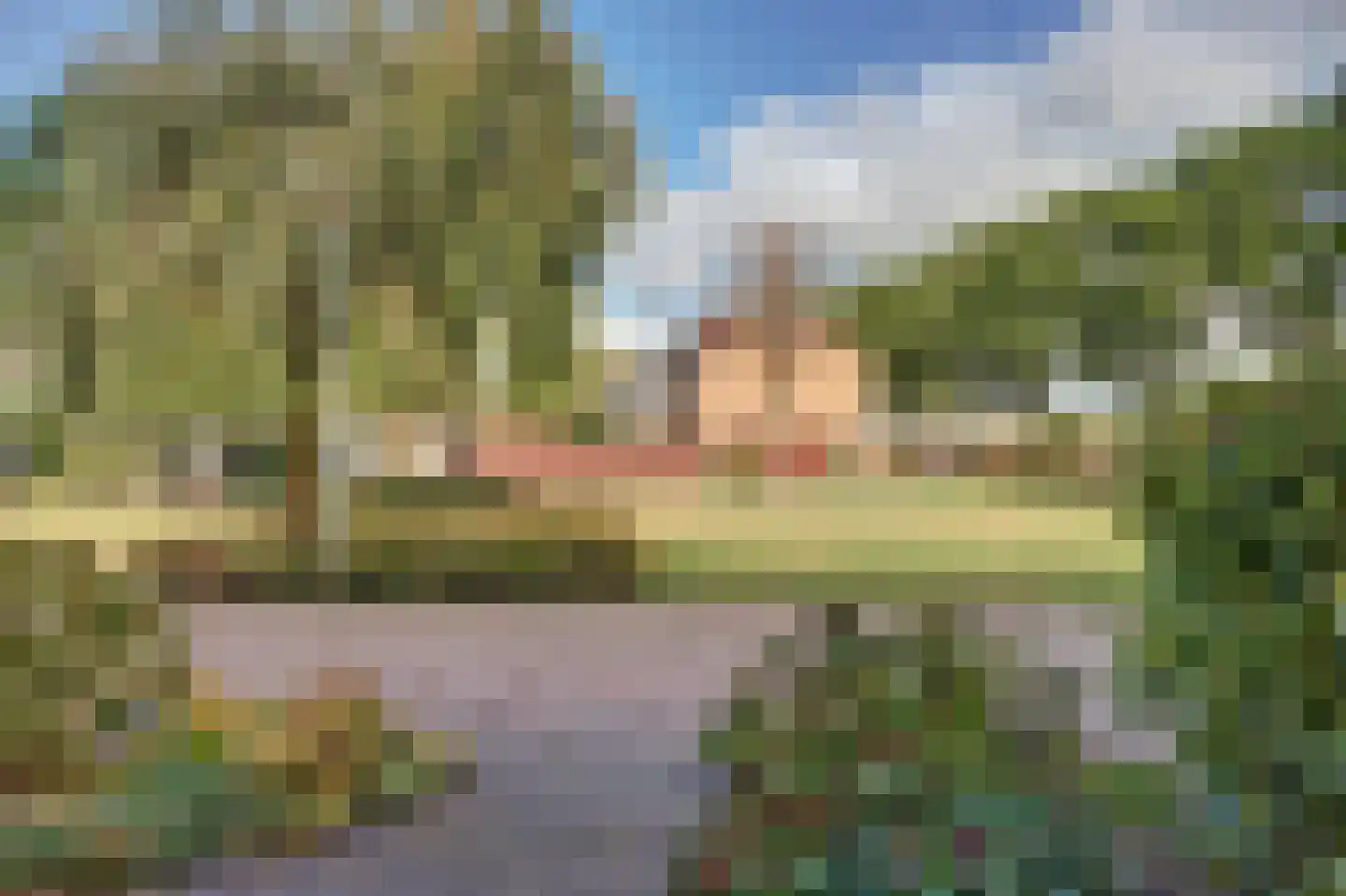 Professor Oudplein 4 Geervliet thumbnail 10