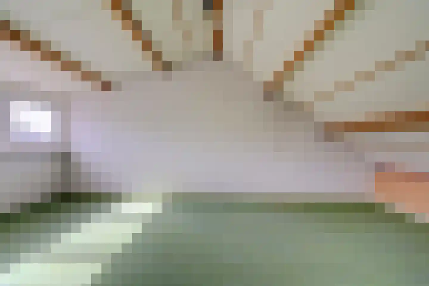 Professor Oudplein 4 Geervliet thumbnail 28
